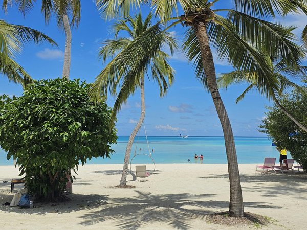Où participer à des ateliers de fabrication de fromage en Suisse?